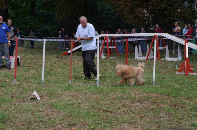 foire-haricots 2011-09-17et18